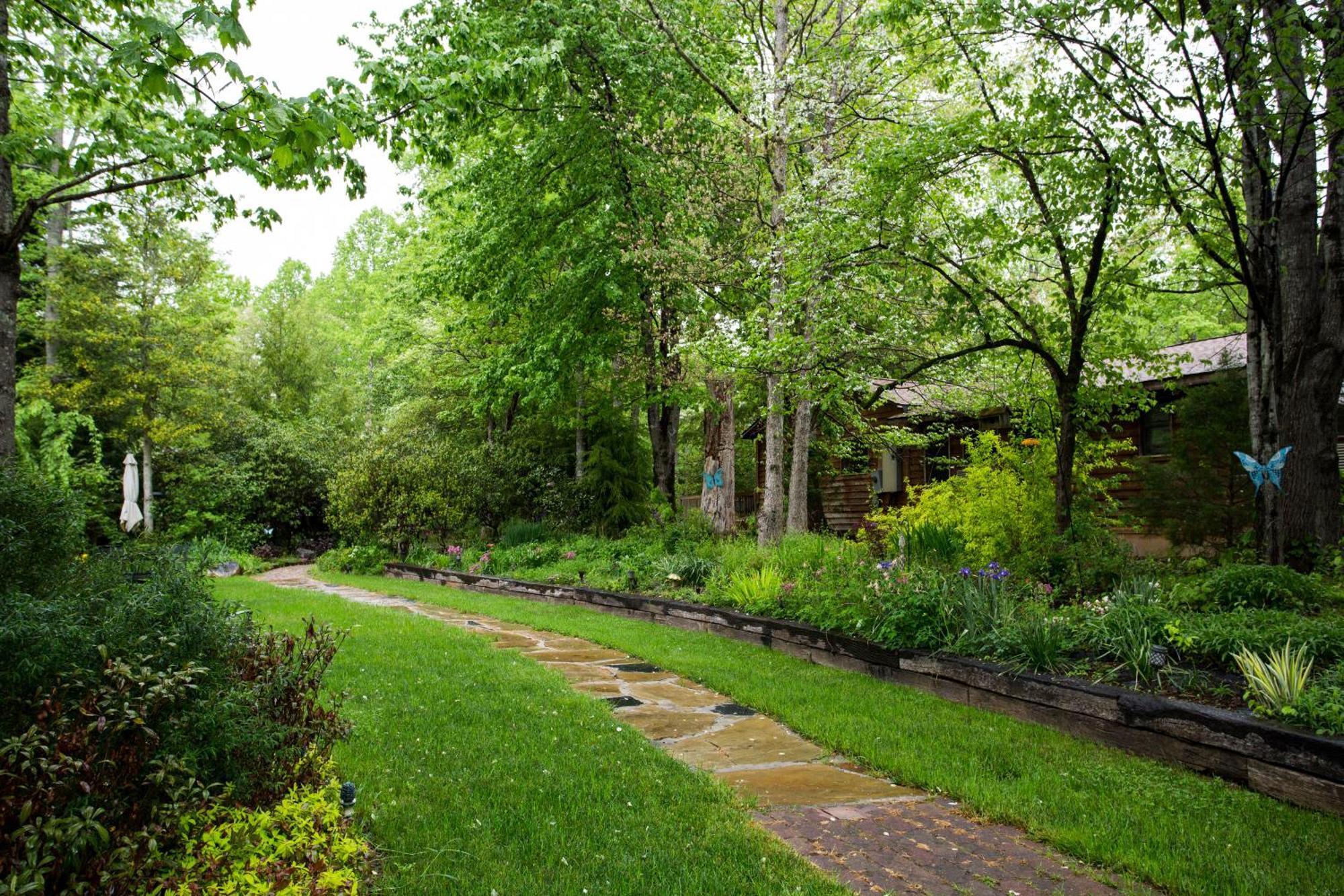 Forrest Hills Mountain Resort داهلونغا المظهر الخارجي الصورة