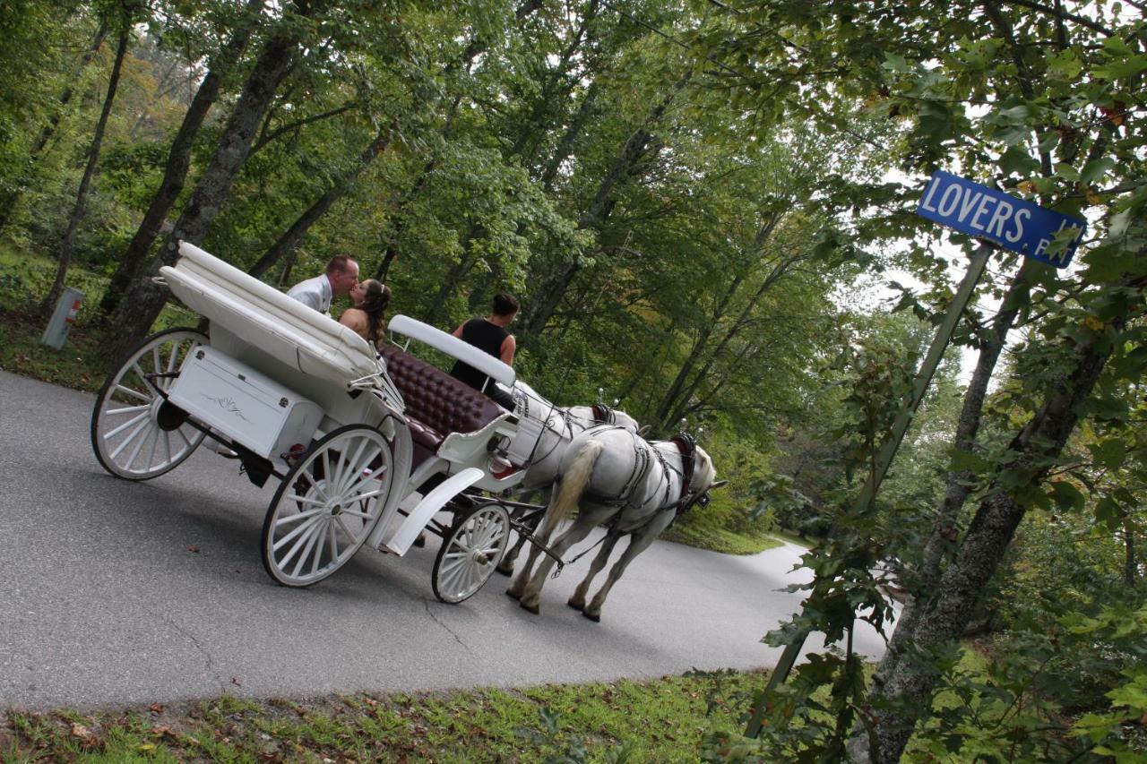Forrest Hills Mountain Resort داهلونغا المظهر الخارجي الصورة